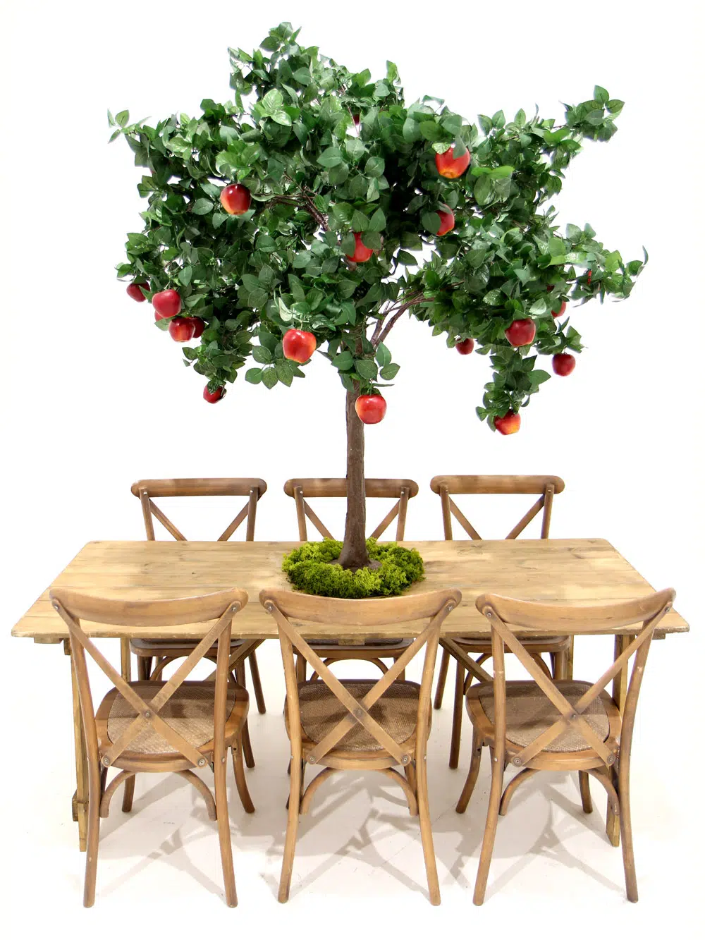 SN5262_Table Top Tree - Apple_
