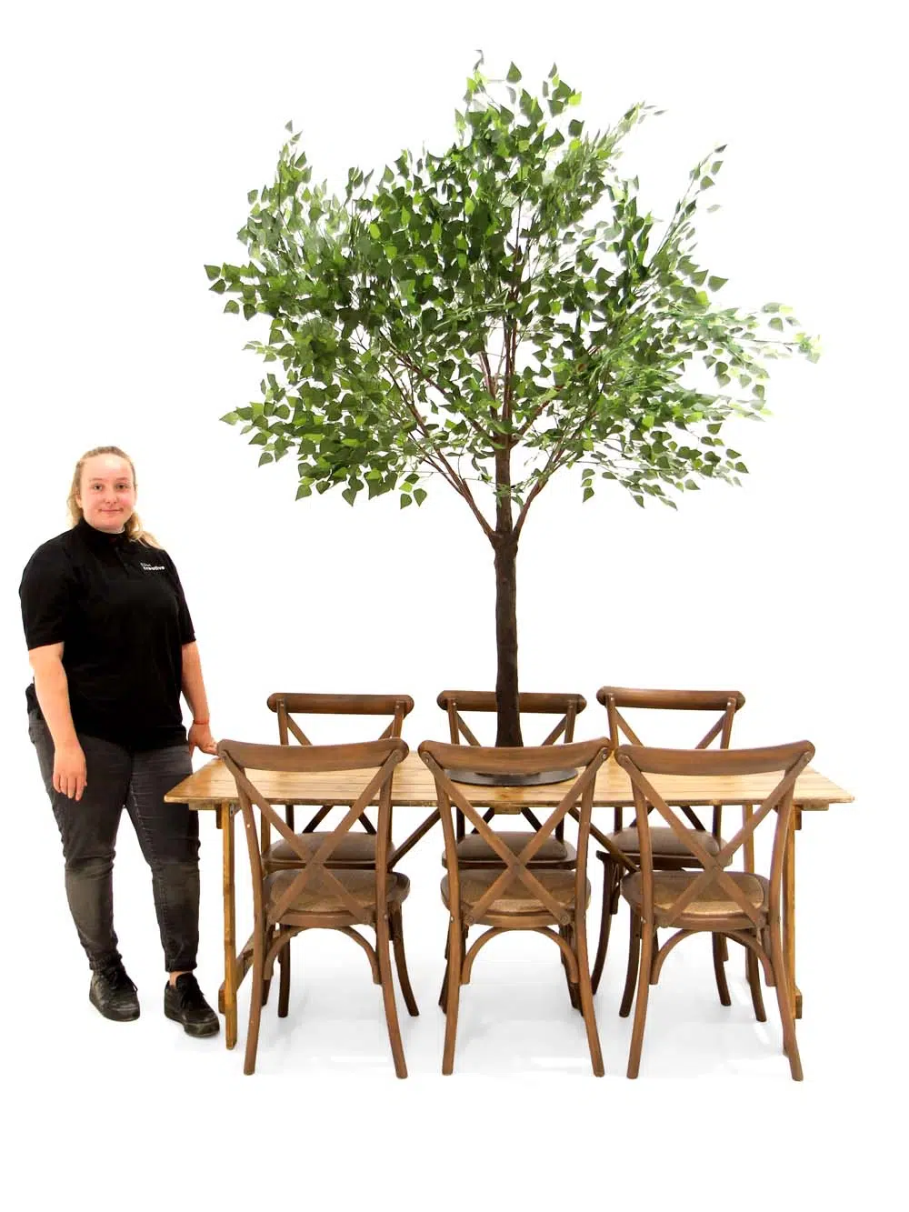 SN5263_Brown Birch Top tree 1.8m_event_prop_hire_EPH_creative_169 copy