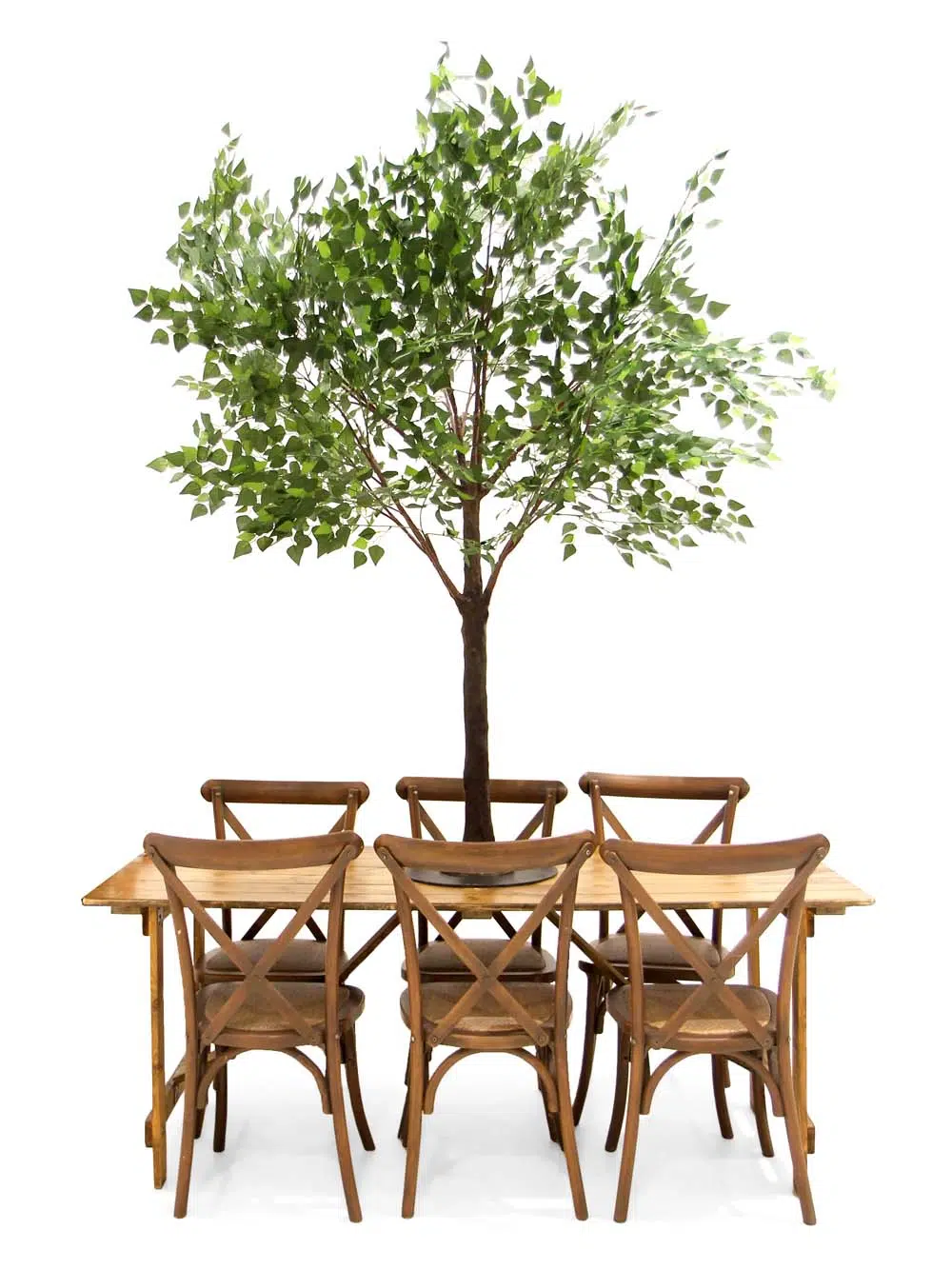 SN5263_Brown Birch Top tree 1.8m_event_prop_hire_EPH_creative_169