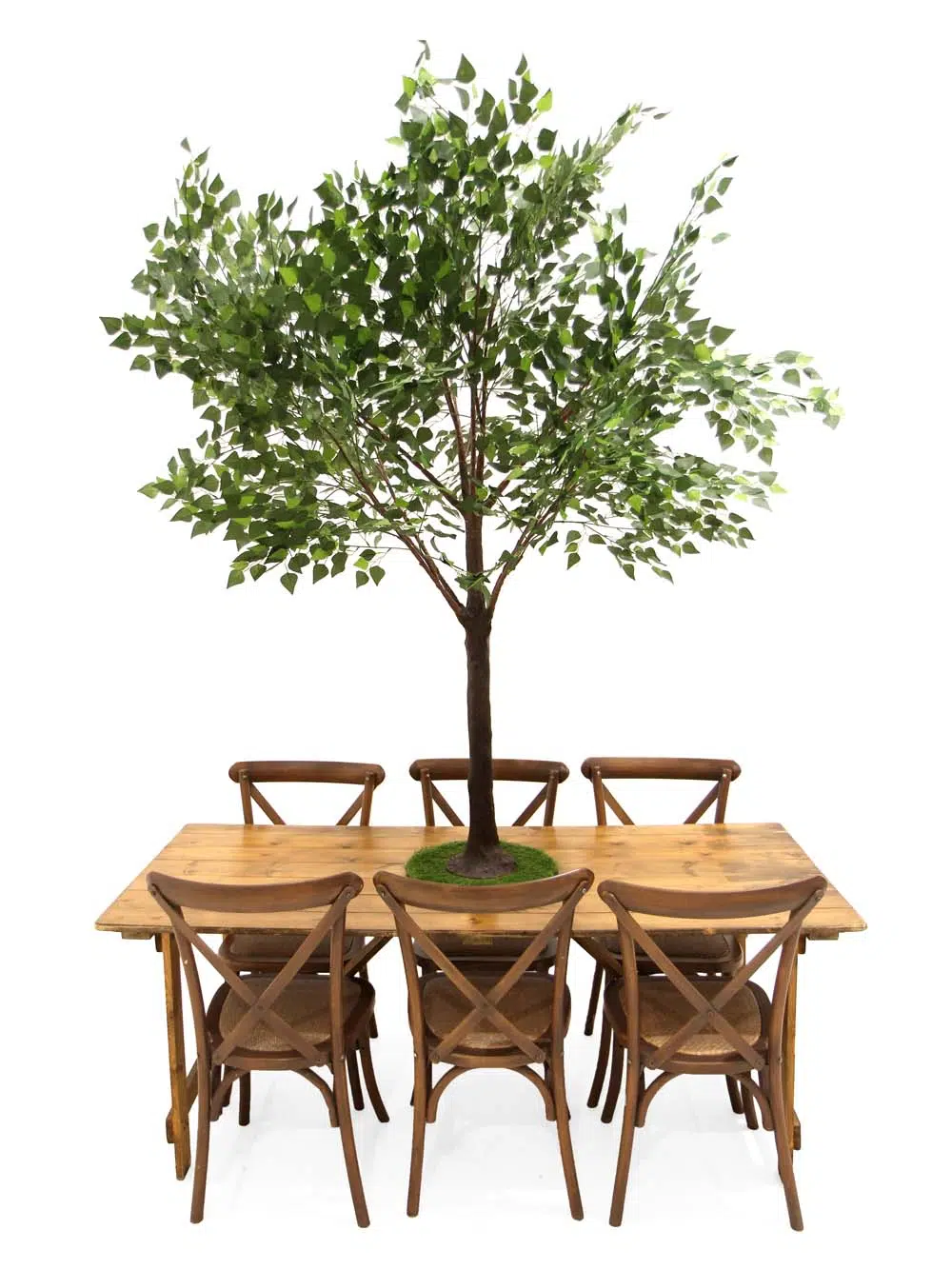 SN5263_Brown Birch Top tree 1.8m_event_prop_hire_EPH_creative_183