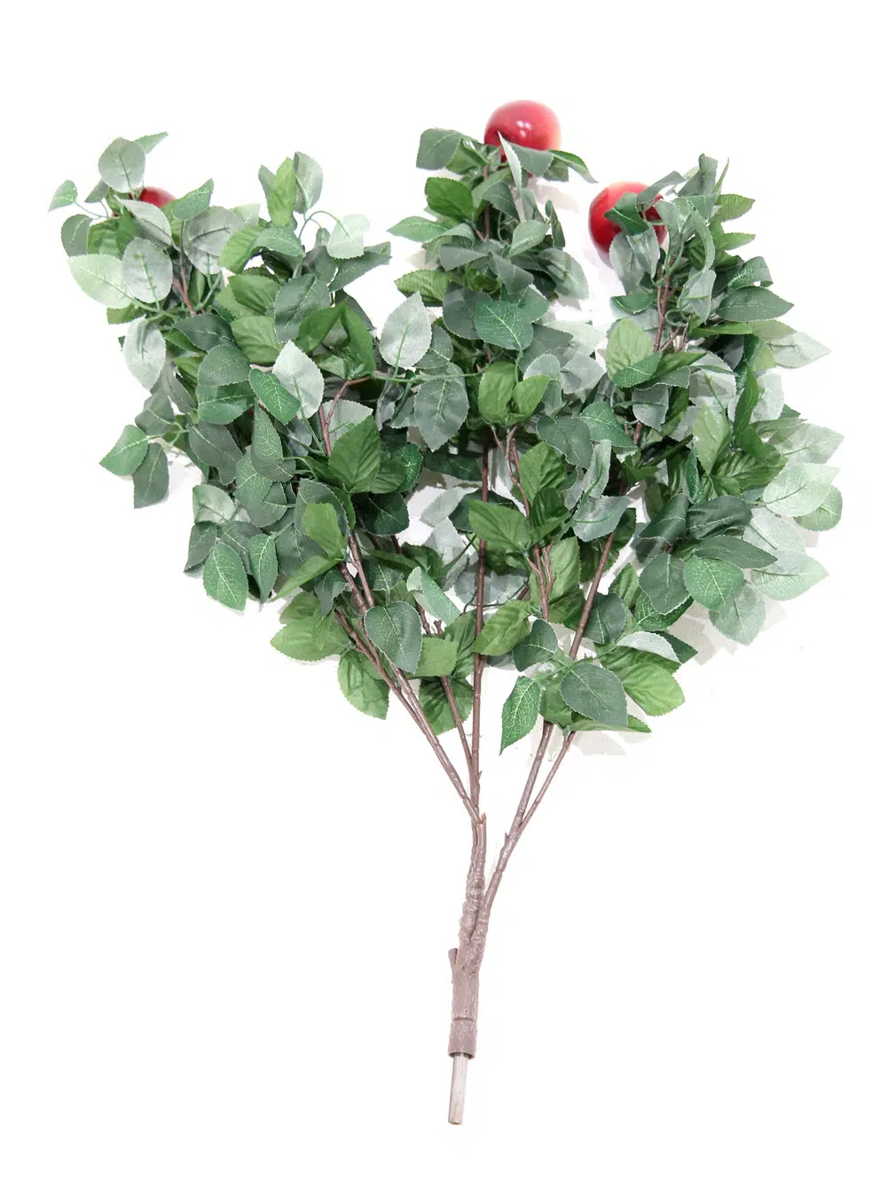 SN5269 Apple Tree Sprig _event_prop_hire_007