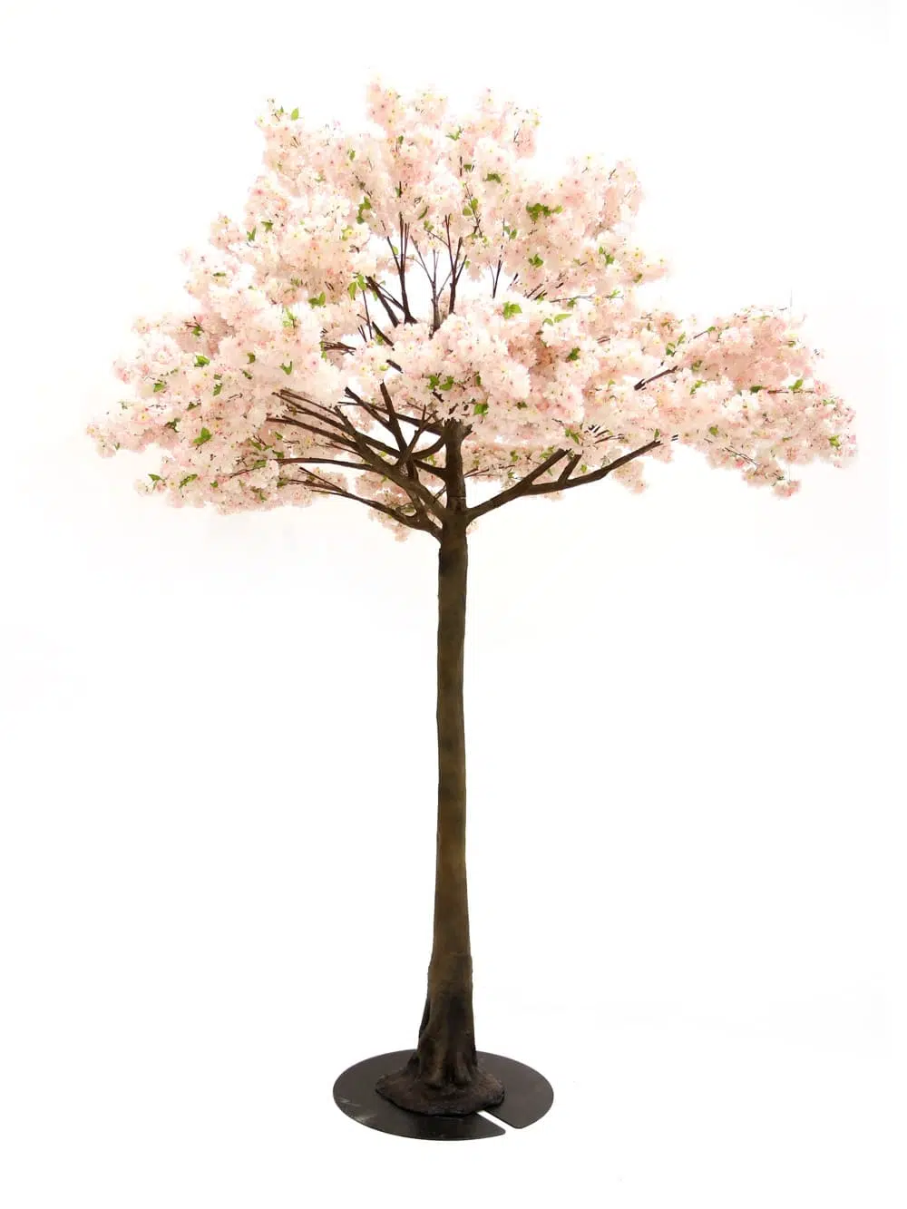 SN5271 Pink Cherry Blossom Tree (3.9m) _event_prop_hire_058