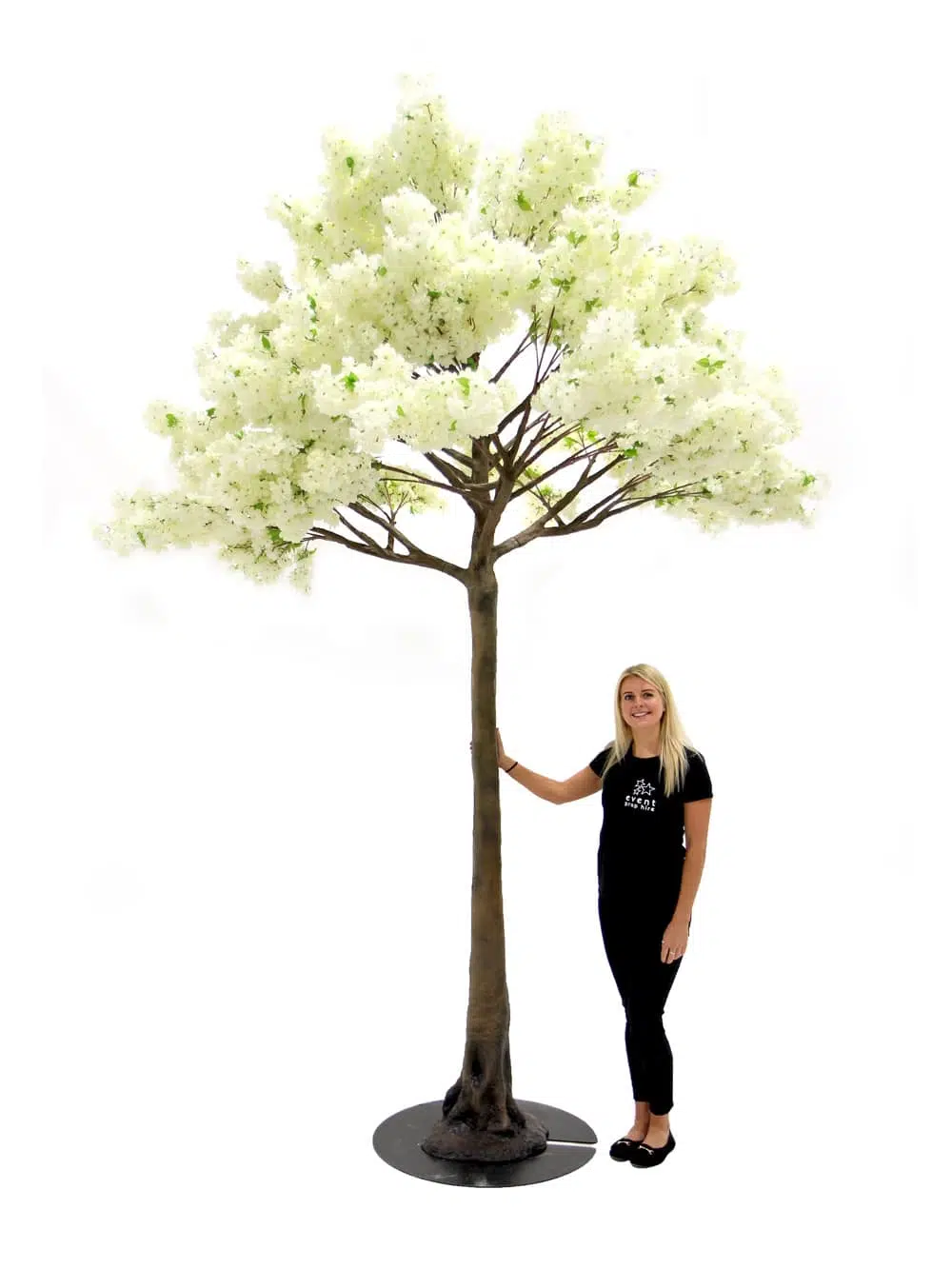 SN5272 Cream Cherry Blossom Tree (3.9m) _event_prop_hire_094