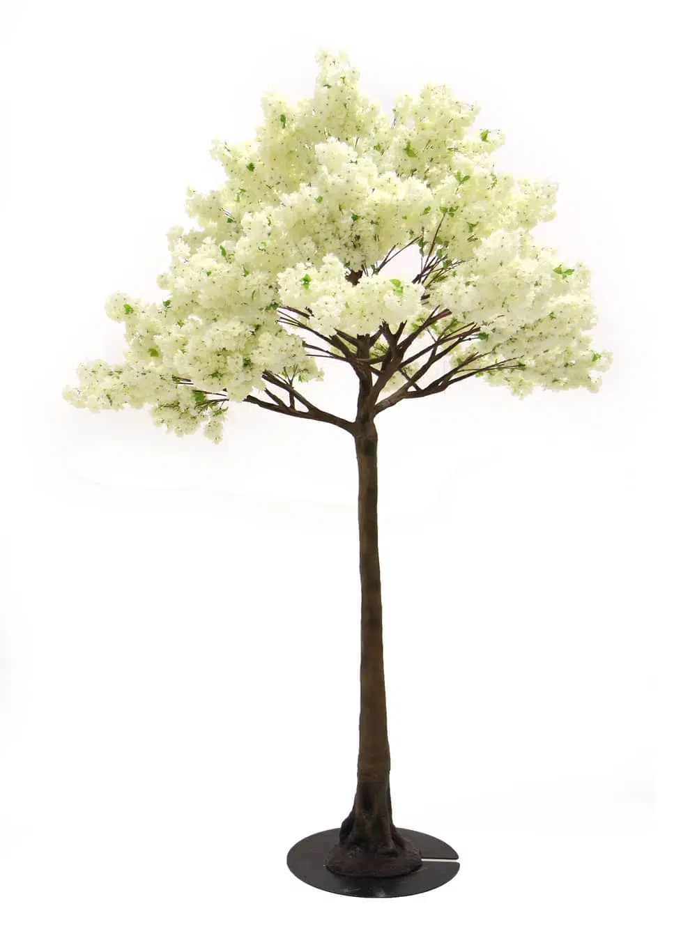 SN5272 Cream Cherry Blossom Tree (3.9m) _event_prop_hire_095