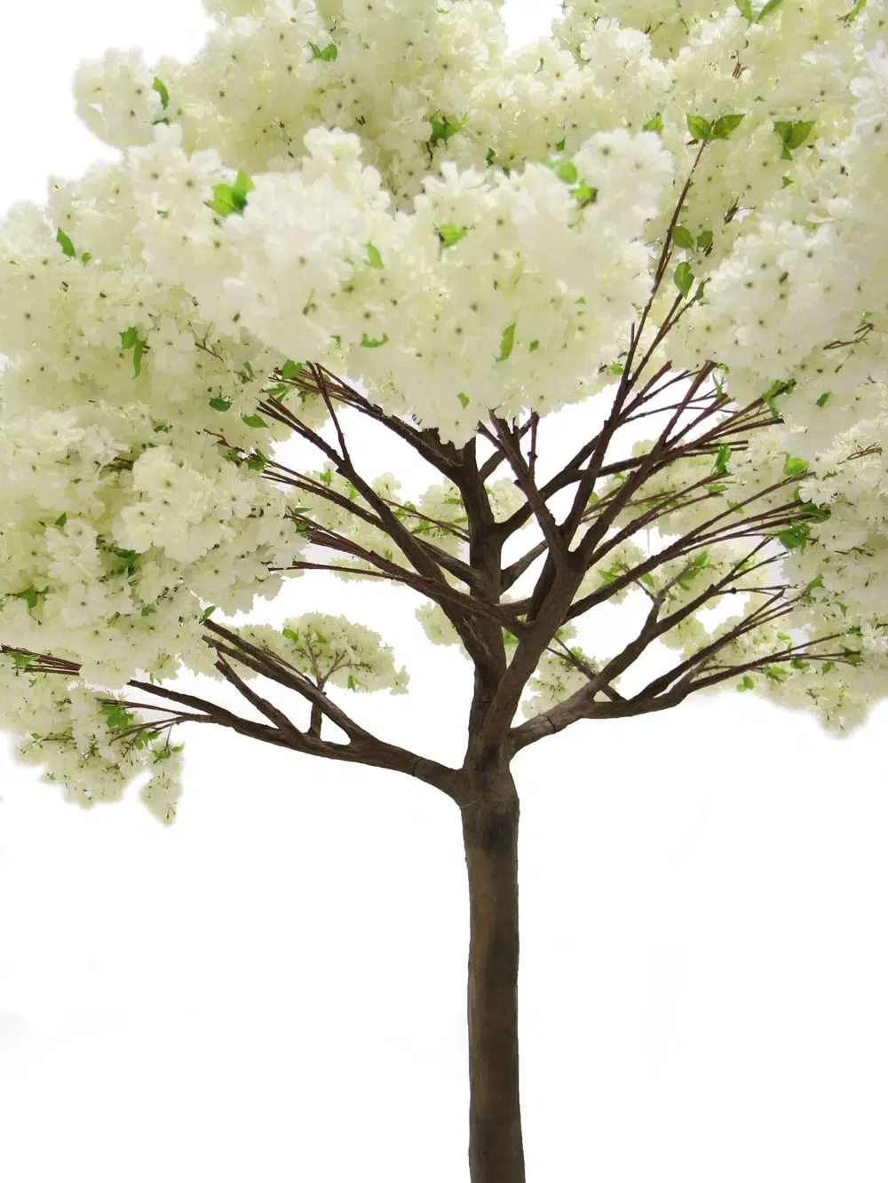SN5272 Cream Cherry Blossom Tree (3.9m) _event_prop_hire_096
