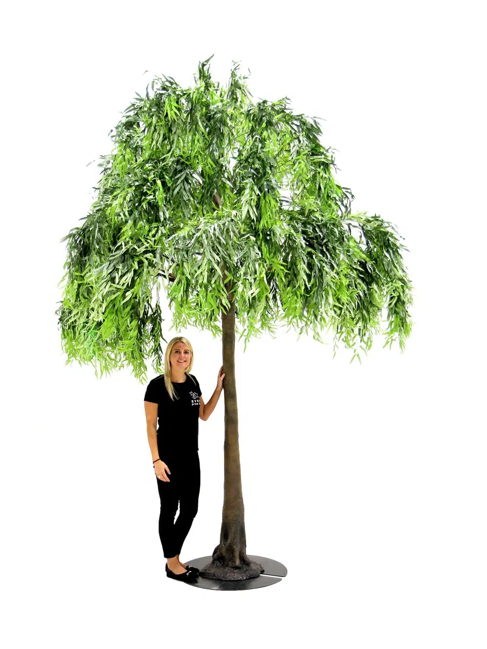 SN5273 Weeping Willow Tree (3.5m) _event_prop_hire_123