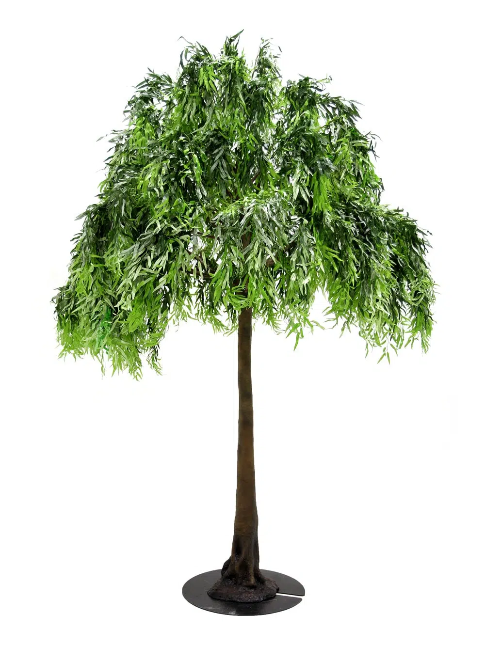 SN5273 Weeping Willow Tree (3.5m) _event_prop_hire_124