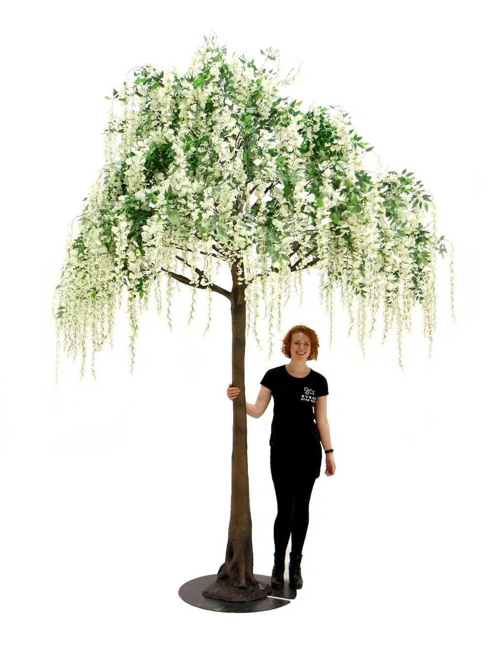 SN5274 Wisteria Long Flower Tree (3.5m) _event_prop_hire_021