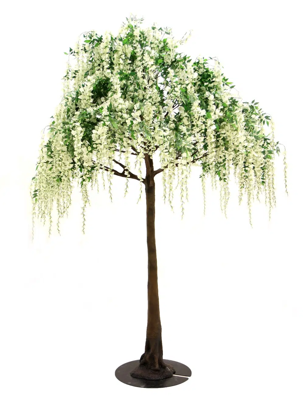 SN5274 Wisteria Long Flower Tree (3.5m) _event_prop_hire_022