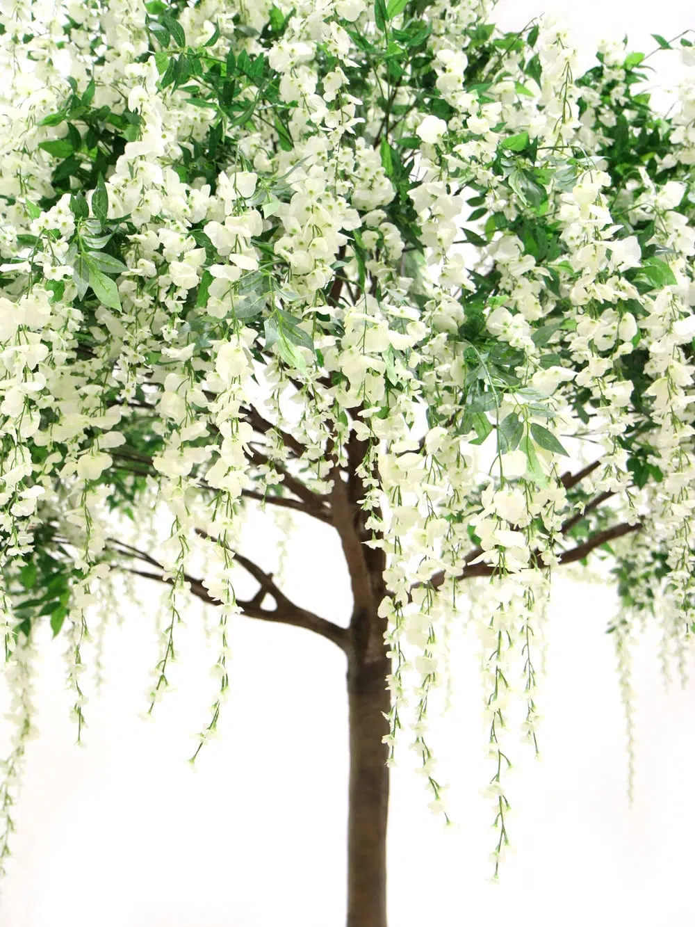 SN5274 Wisteria Long Flower Tree (3.5m) _event_prop_hire_023