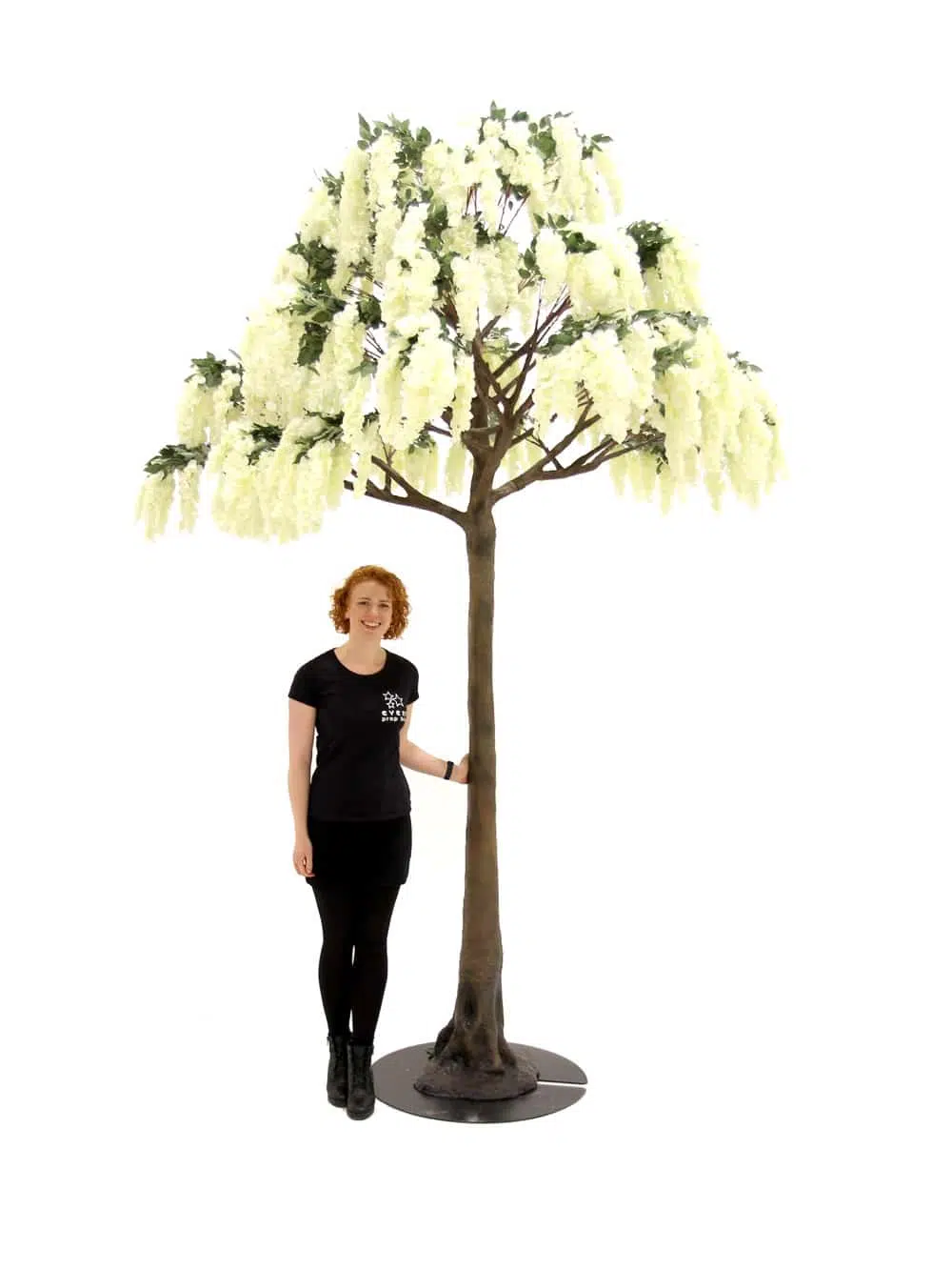 SN5275 Wisteria Flower Cluster Tree (3.4m) _event_prop_hire_038