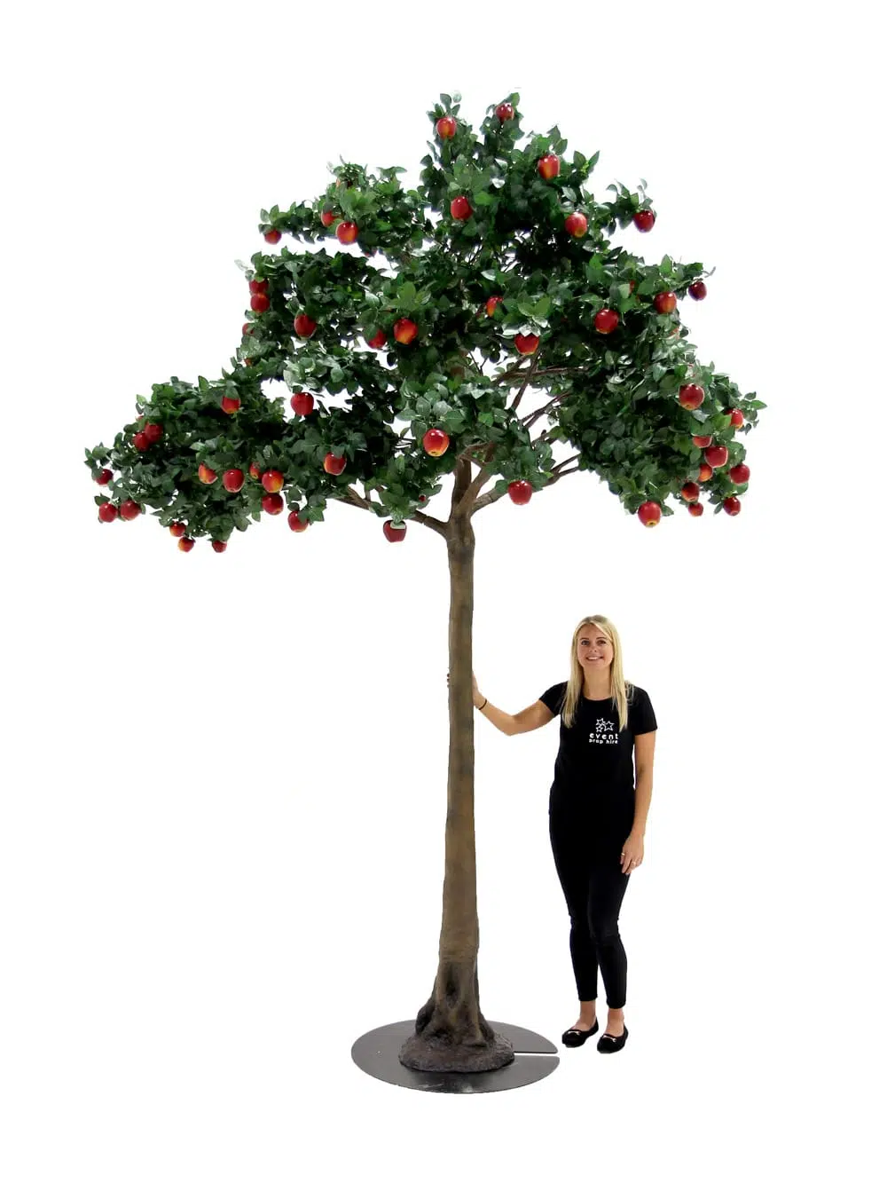 SN5276 Apple Tree (3.8m) _event_prop_hire_018