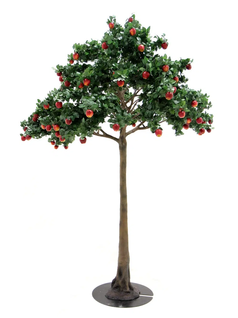 SN5276 Apple Tree (3.8m) _event_prop_hire_019