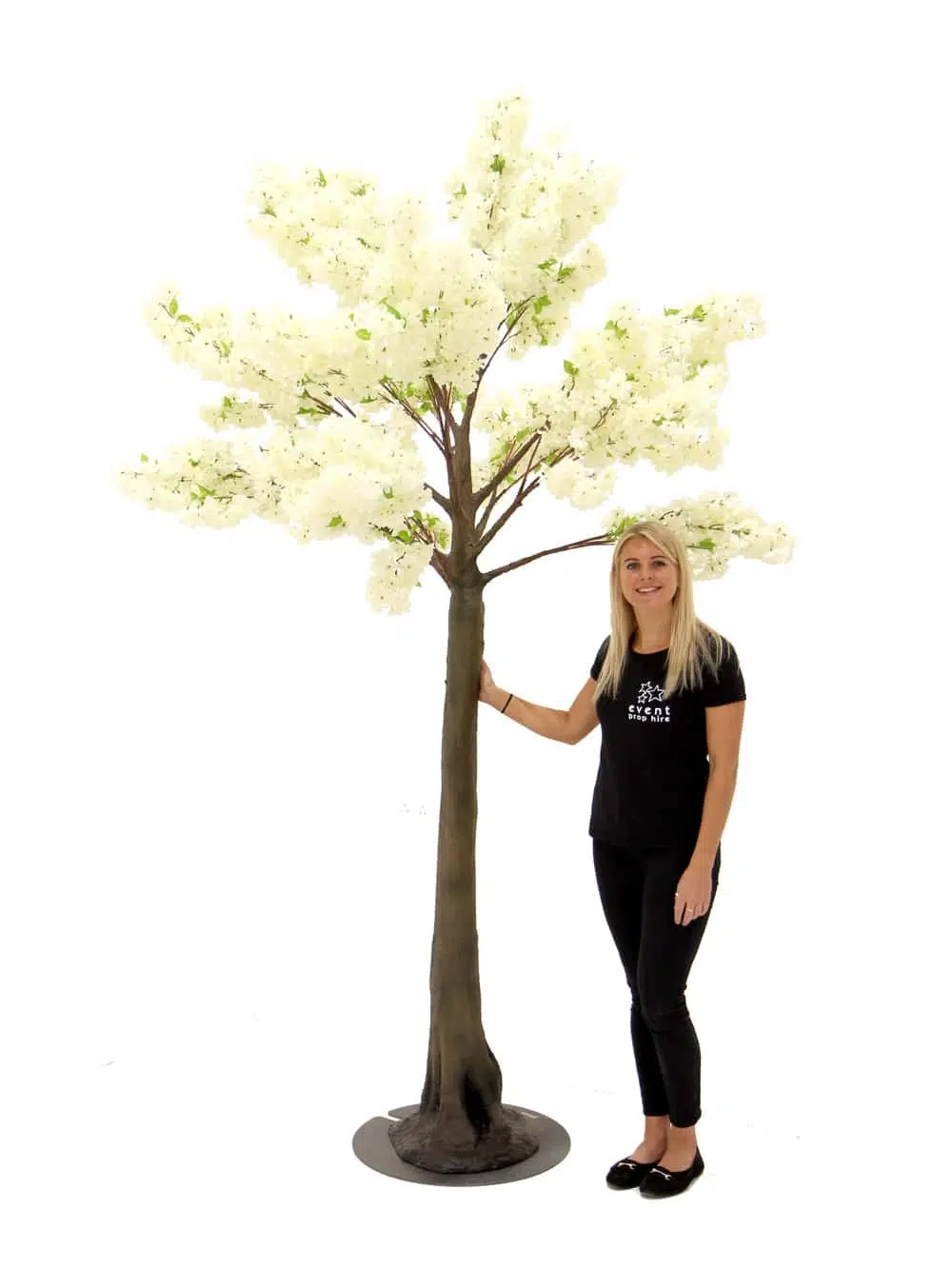 SN5315 Cream Cherry Blossom Tree (2.9m) _event_prop_hire_101