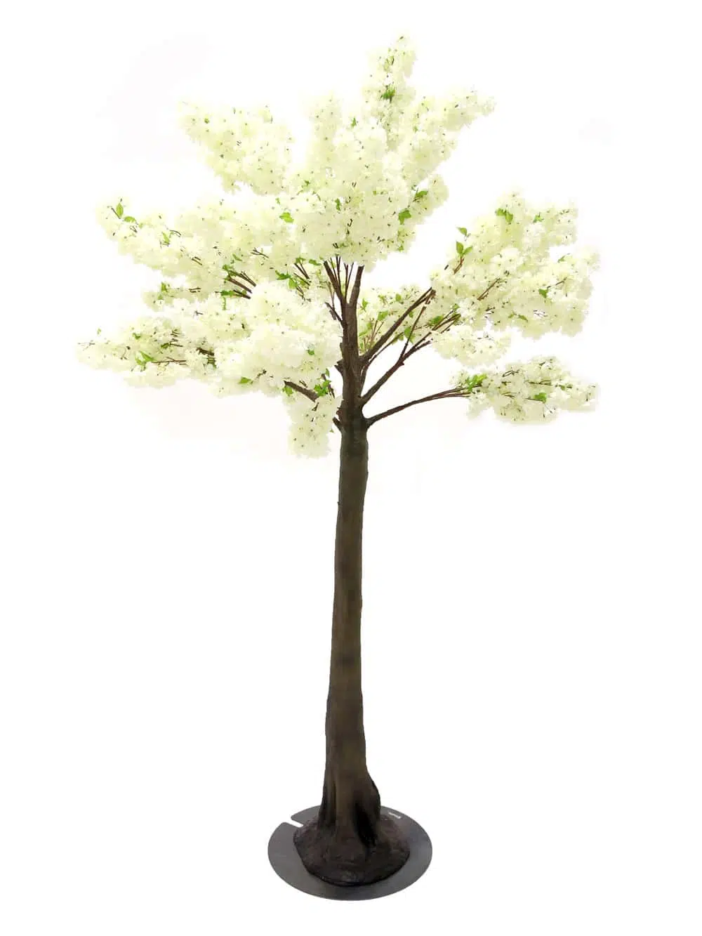 SN5315 Cream Cherry Blossom Tree (2.9m) _event_prop_hire_102