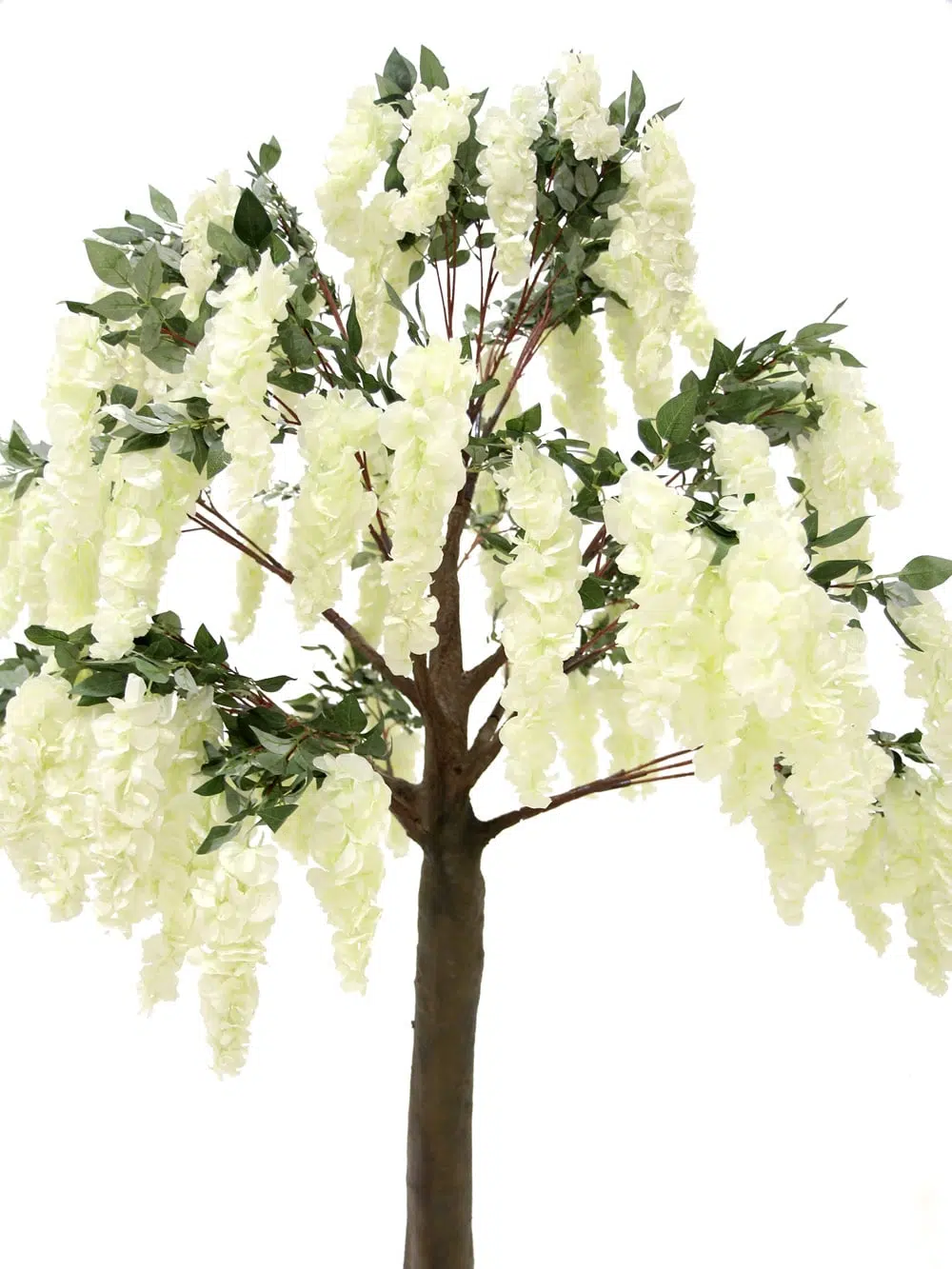 SN5317 Wisteria Flower Cluster Tree (2.8m) _event_prop_hire_042