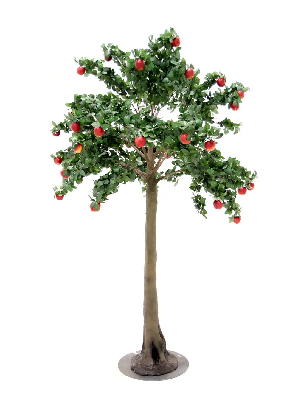 SN5319 Apple Tree (2.7m) _event_prop_hire_004