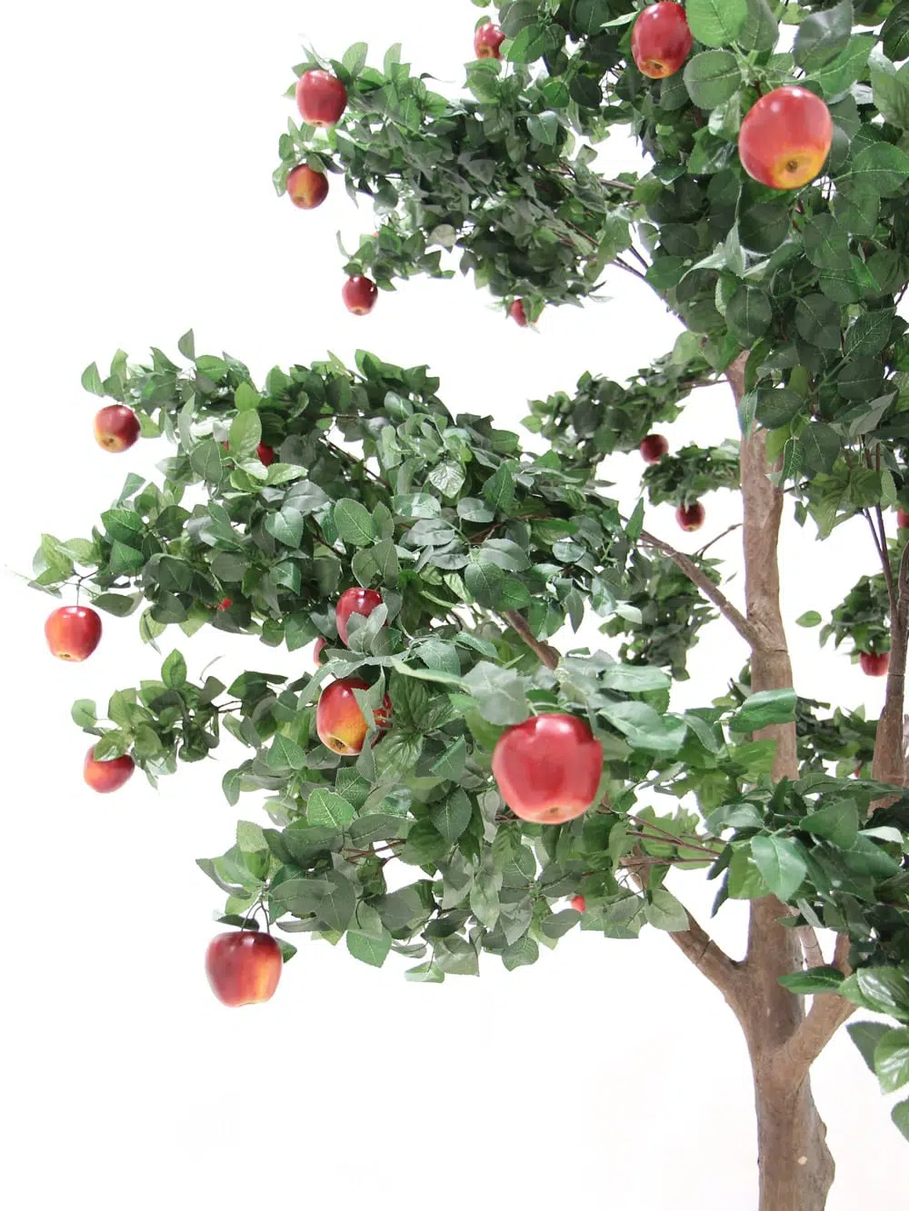SN5320 Apple Tree (3.5m) _event_prop_hire_003