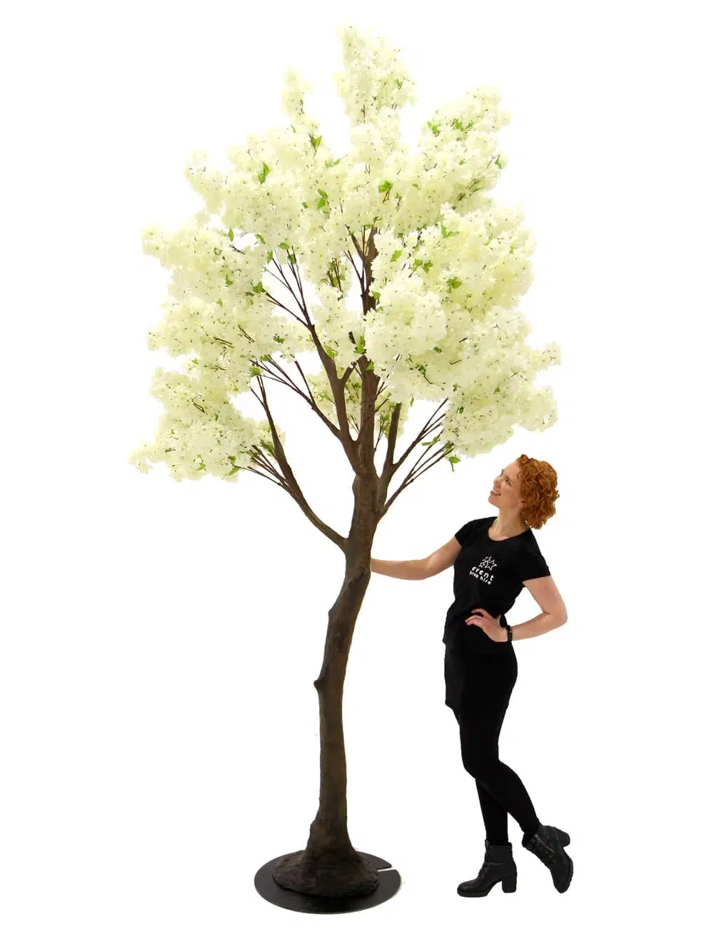 SN5324 Cream Cherry Blossom Tree (3.5m) _event_prop_hire_099