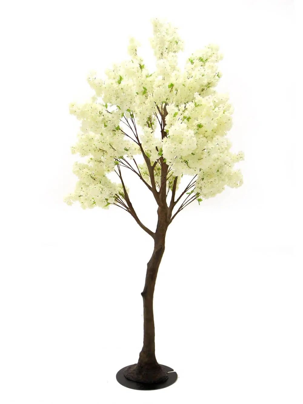 SN5324 Cream Cherry Blossom Tree (3.5m) _event_prop_hire_100