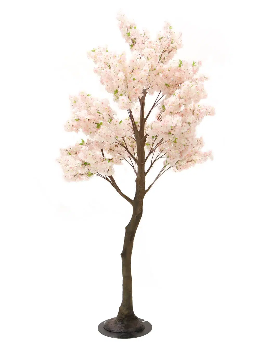 SN5325 Pink Cherry Blossom Tree (3.5m) _event_prop_hire_060