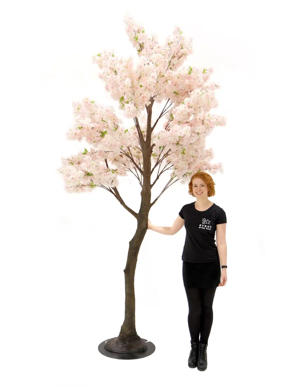 SN5325 Pink Cherry Blossom Tree (3.5m) _event_prop_hire_061