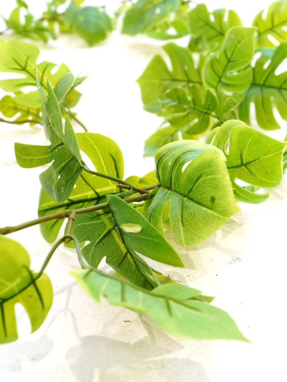 SN5400 Philo Leaf Garland _event_prop_hire_001