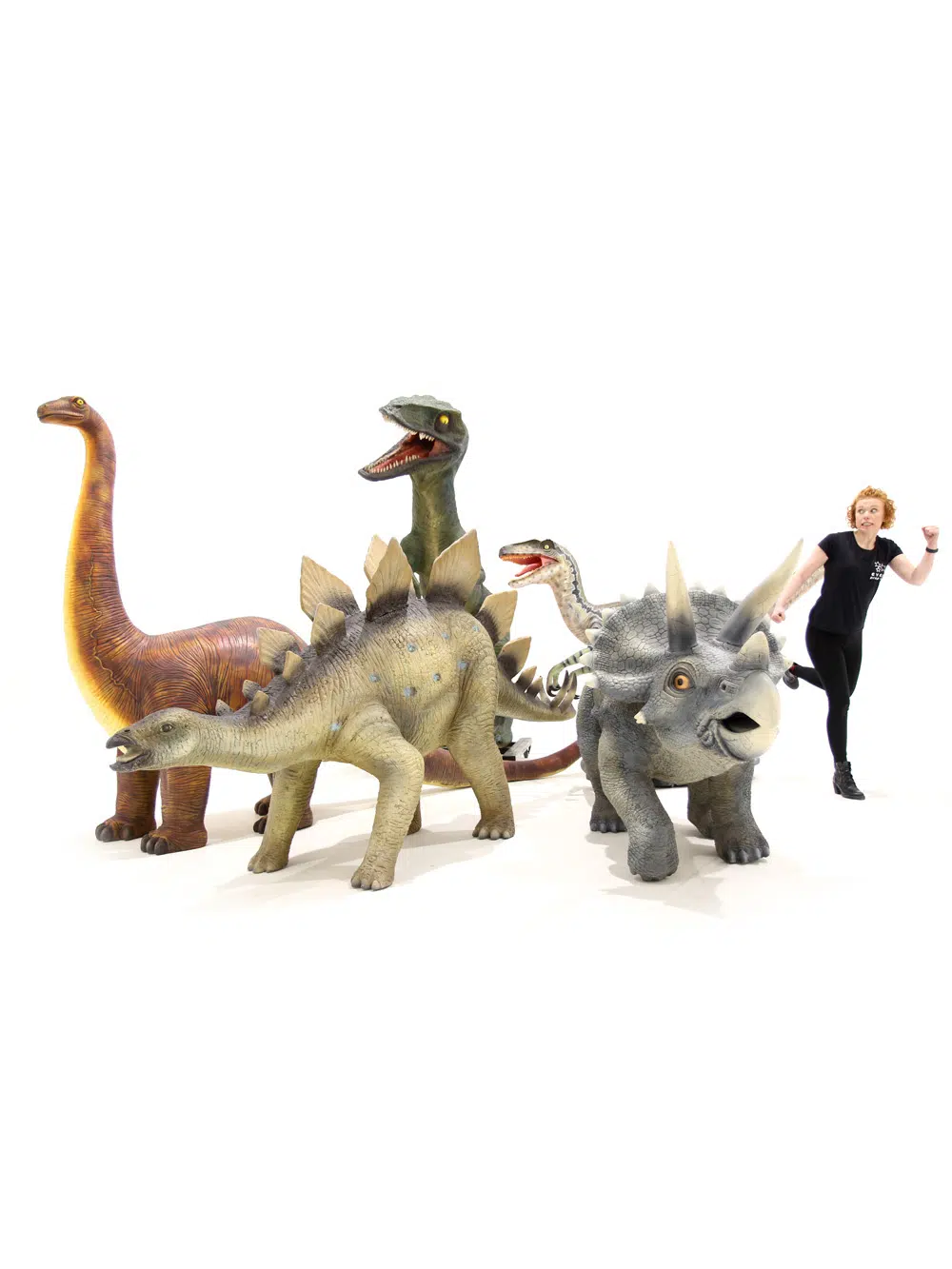 AML50_AML51_AML55_SN5522_SN5527 Dinosaurs _event_prop_hire_117