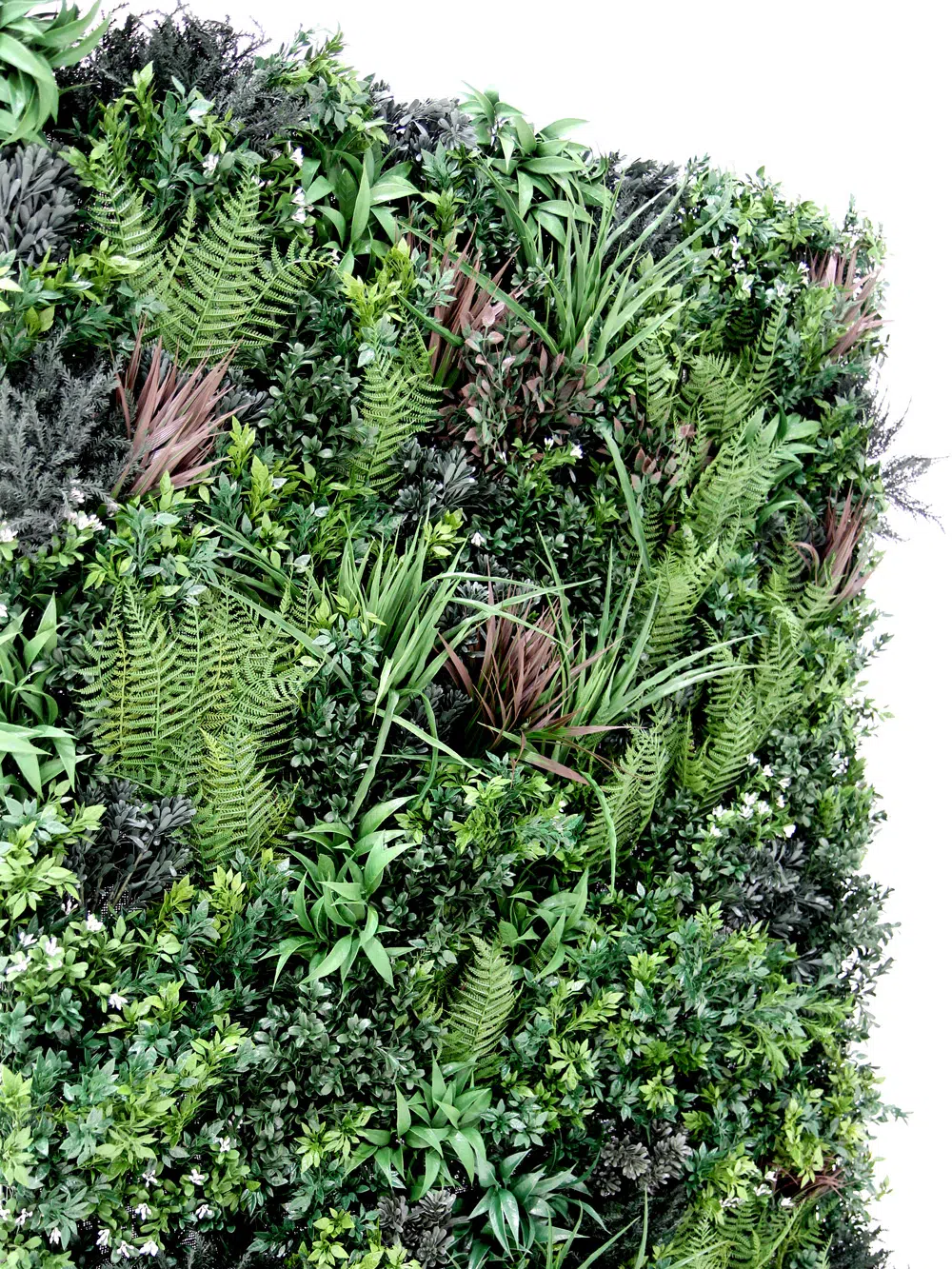 SN5498 Living Wall Panel - Single _event_prop_hire_095