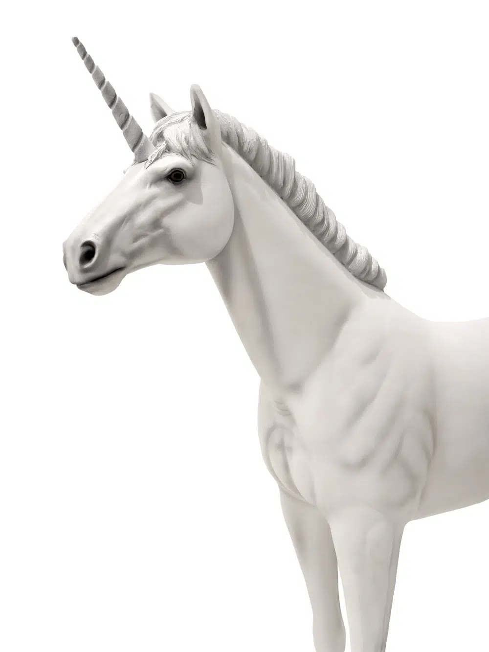 SN5521 White Unicorn _event_prop_hire_103