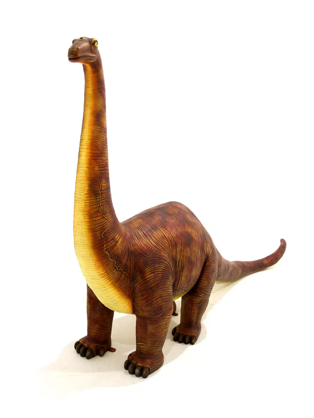 SN5522 Brontosaurus Dinosaur Prop _event_prop_hire_067
