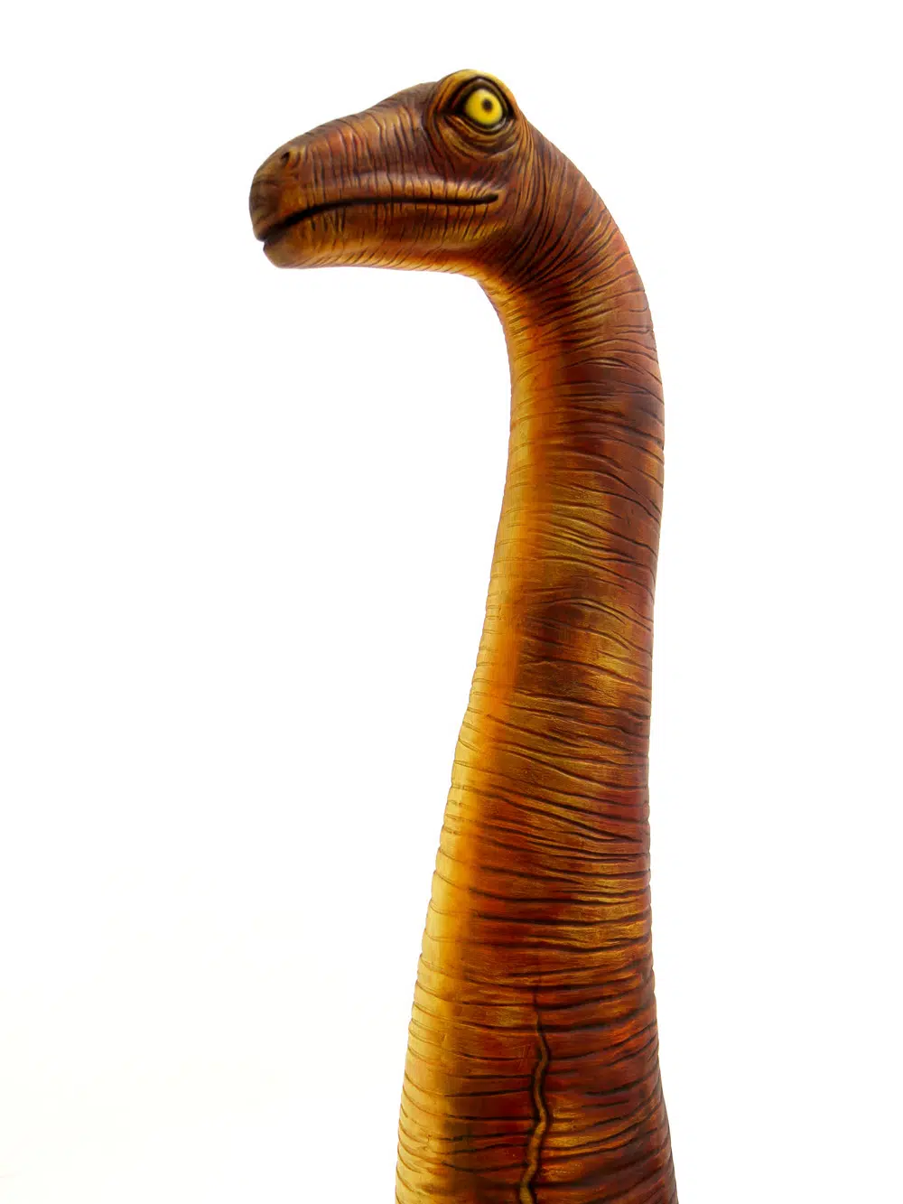 SN5522 Brontosaurus Dinosaur Prop _event_prop_hire_068