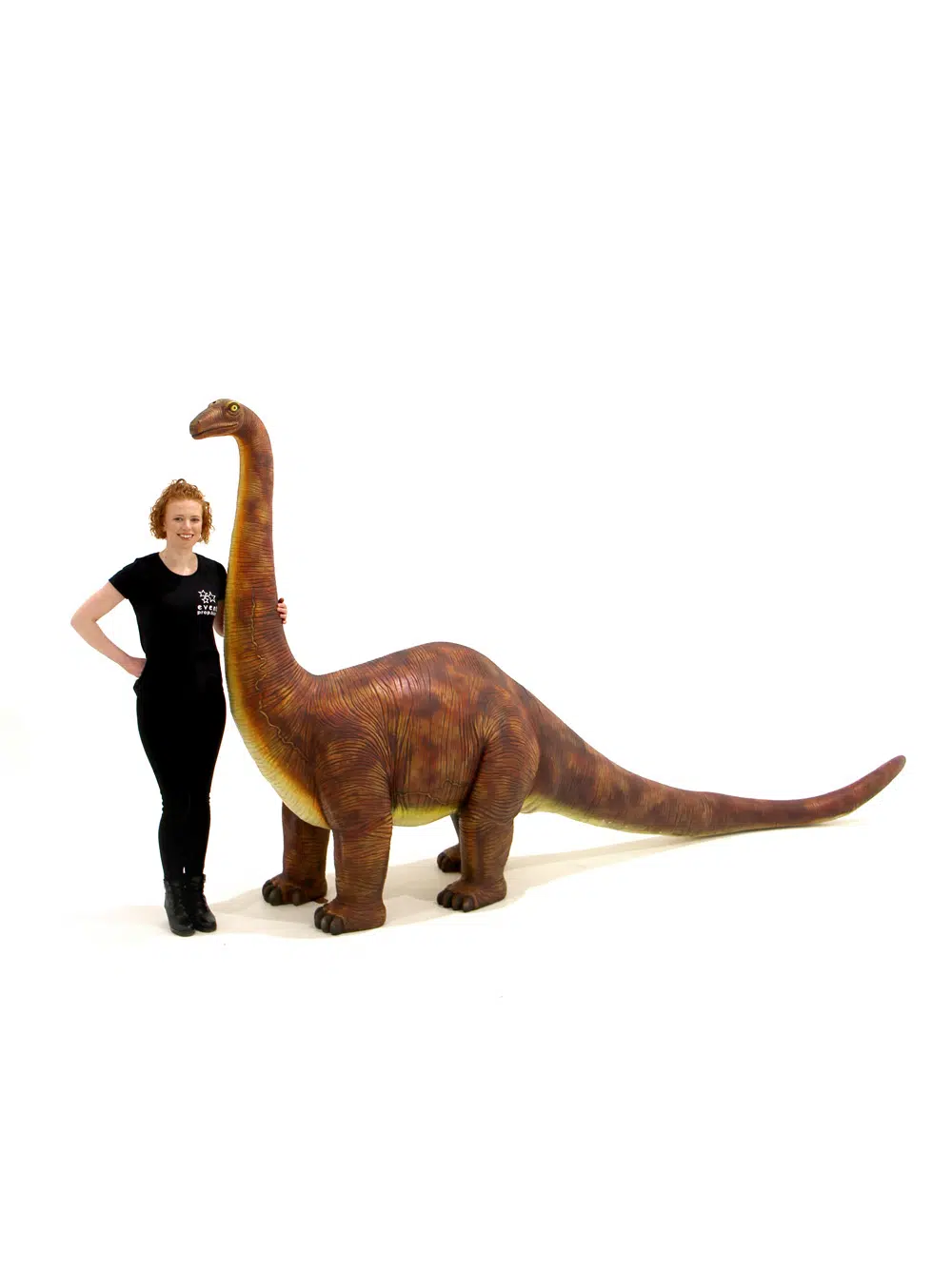 SN5522 Brontosaurus Dinosaur Prop _event_prop_hire_069