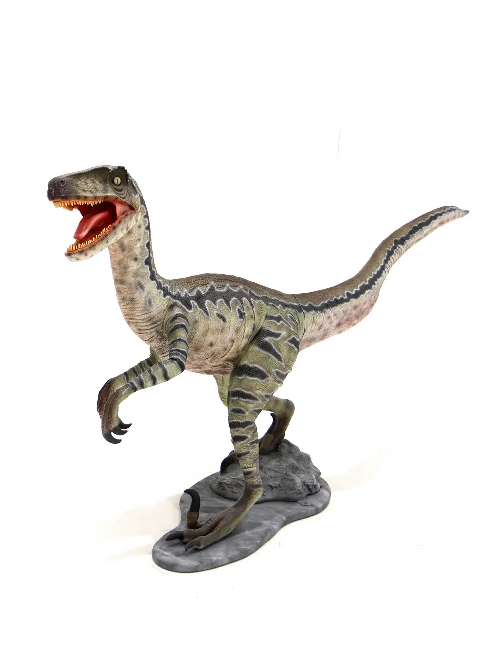 SN5527 Velociraptor Dinosaur Prop _event_prop_hire_060