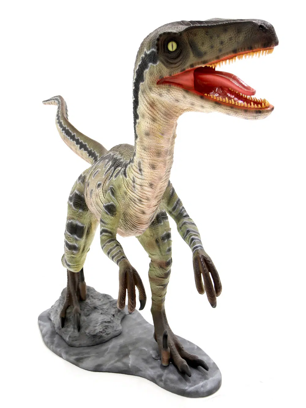 SN5527 Velociraptor Dinosaur Prop _event_prop_hire_062