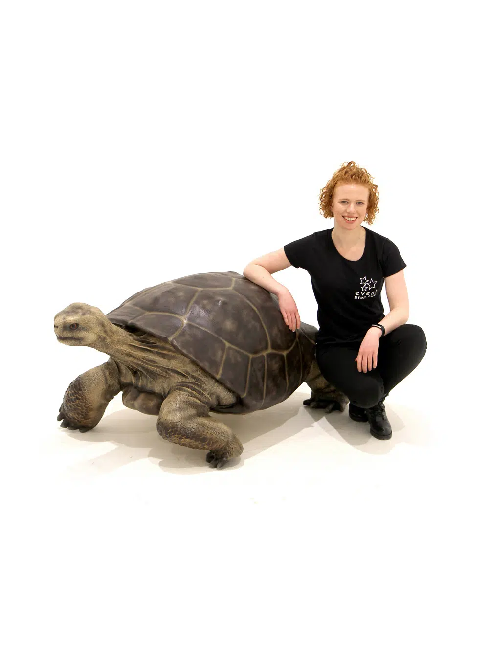 SN5532 Giant Tortoise _event_prop_hire_034