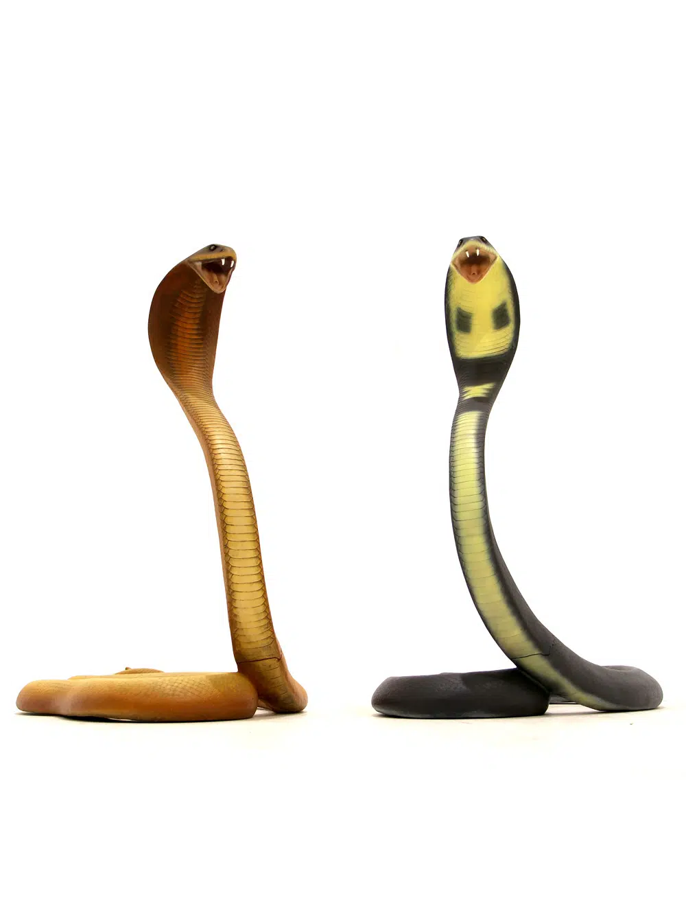 SN5620_SN5626 Cobras _event_prop_hire_044
