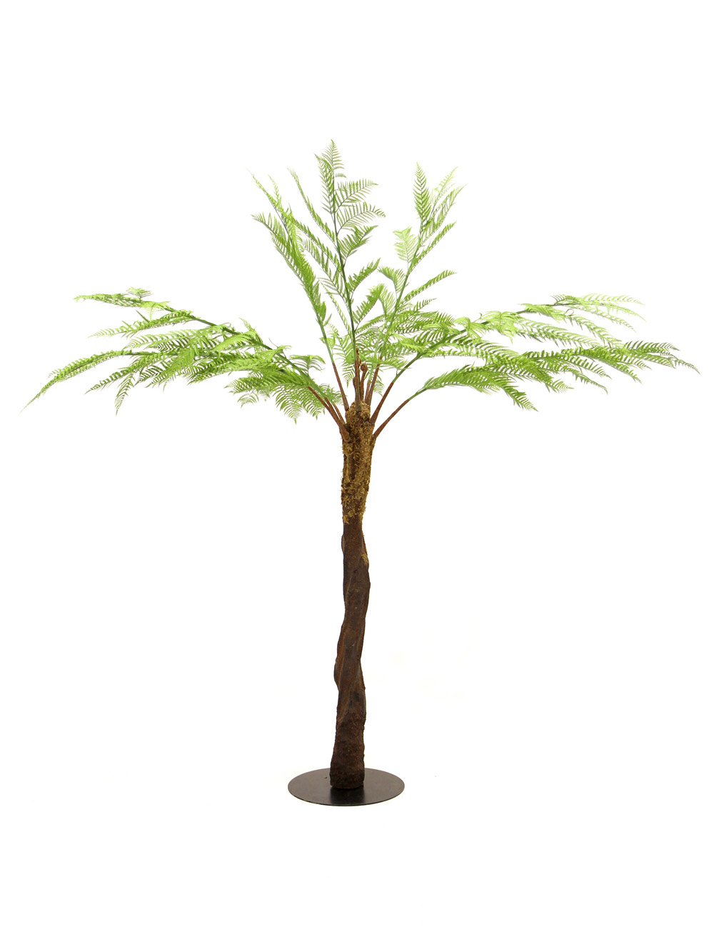 SN5635 Fern Tree _event_prop_hire_014