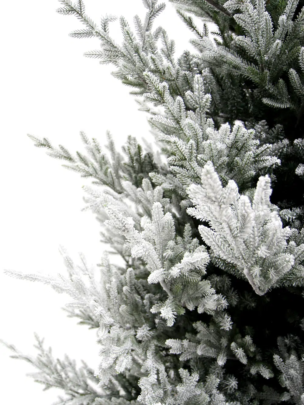 SN5773_SN5772_SN5771_SN5770_SN5769 Snowy Trees _event_prop_hire_019
