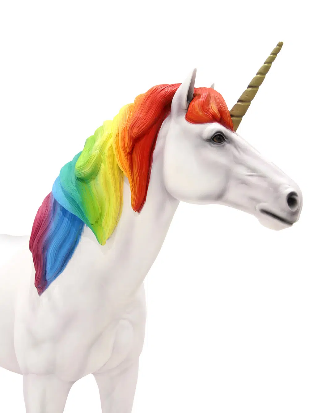 SN5520 Rainbow Unicorn _event_prop_hire_011