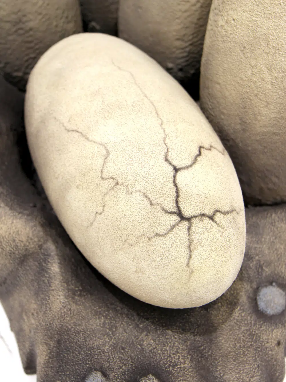 SN5627 Velociraptor Dinosaur Nest _event_prop_hire_043