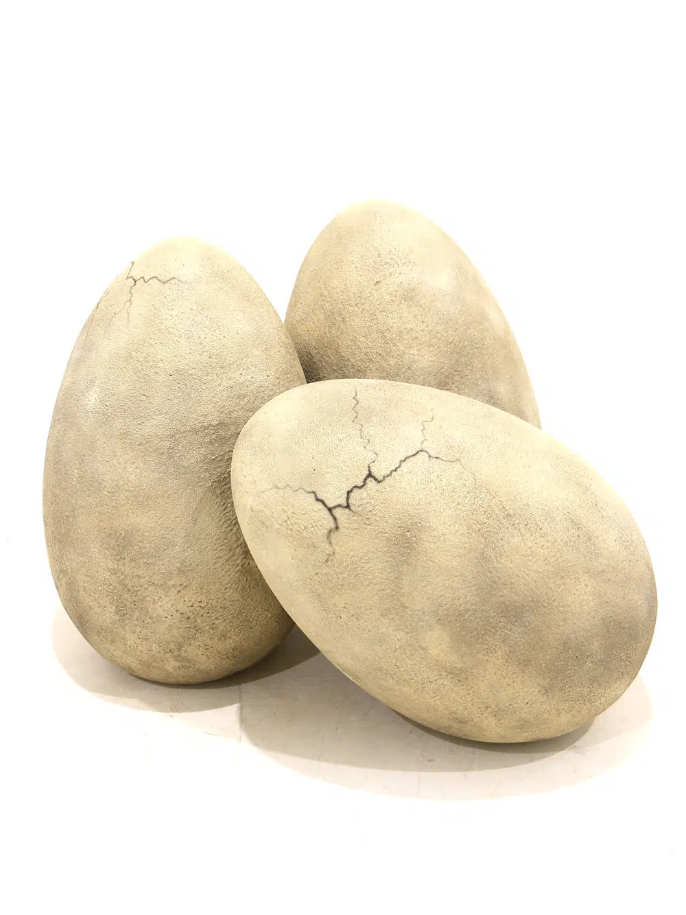 SN5628 T-Rex Dinosaur Nest _event_prop_hire_046