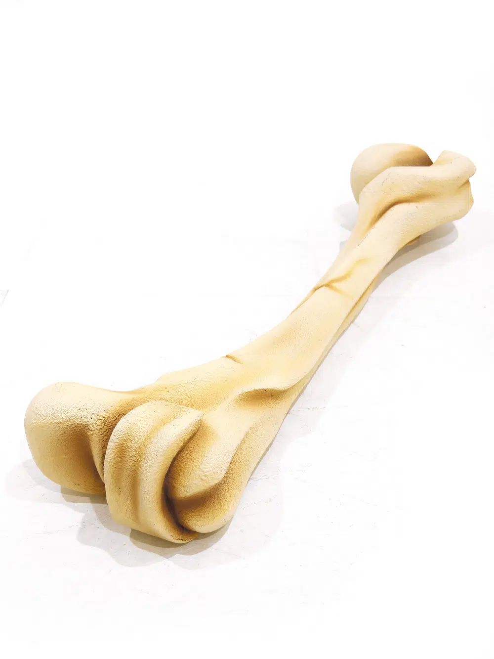 SN5630 Large Dinosaur Bones _event_prop_hire_101
