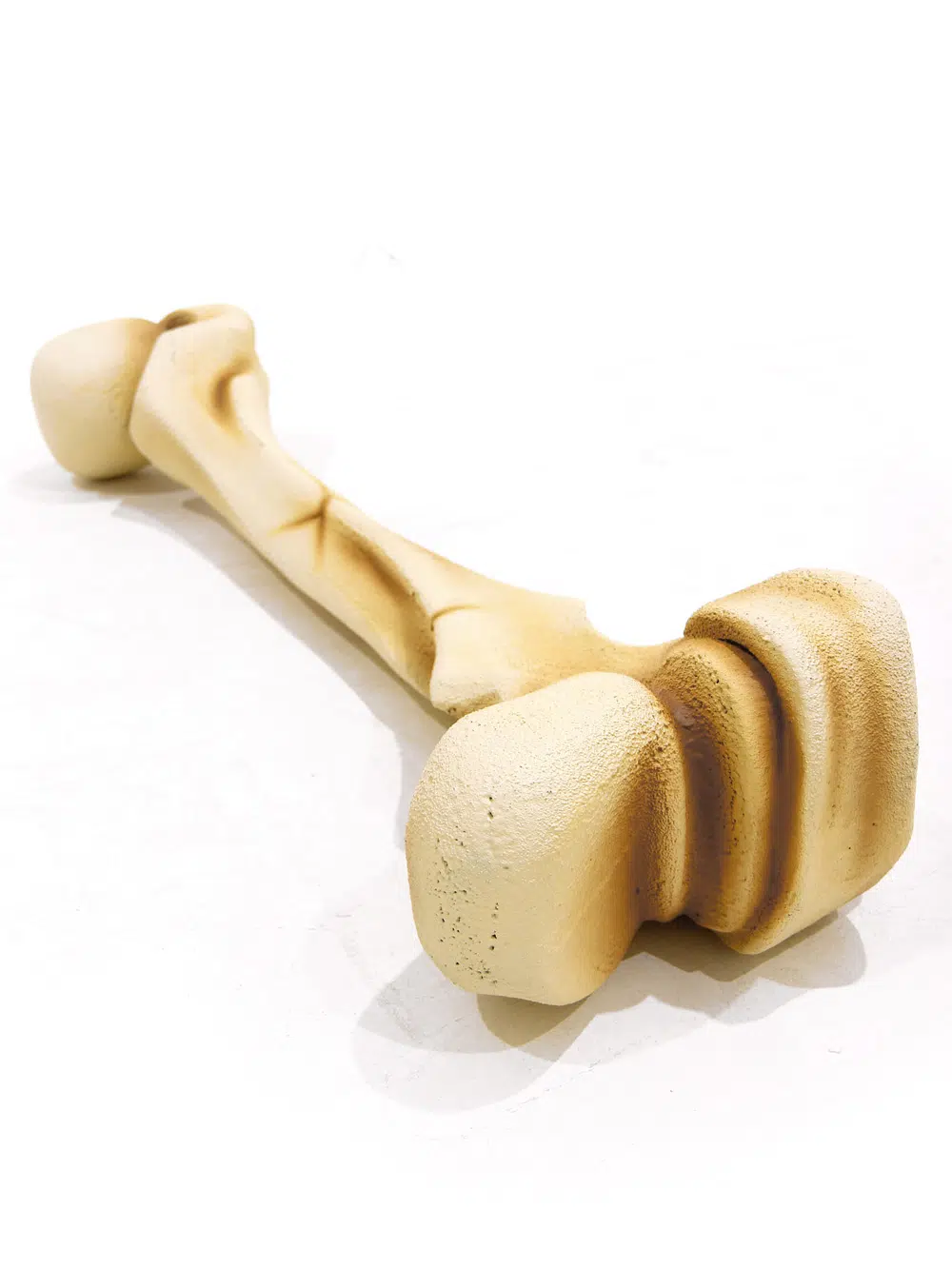 SN5630 Large Dinosaur Bones _event_prop_hire_102