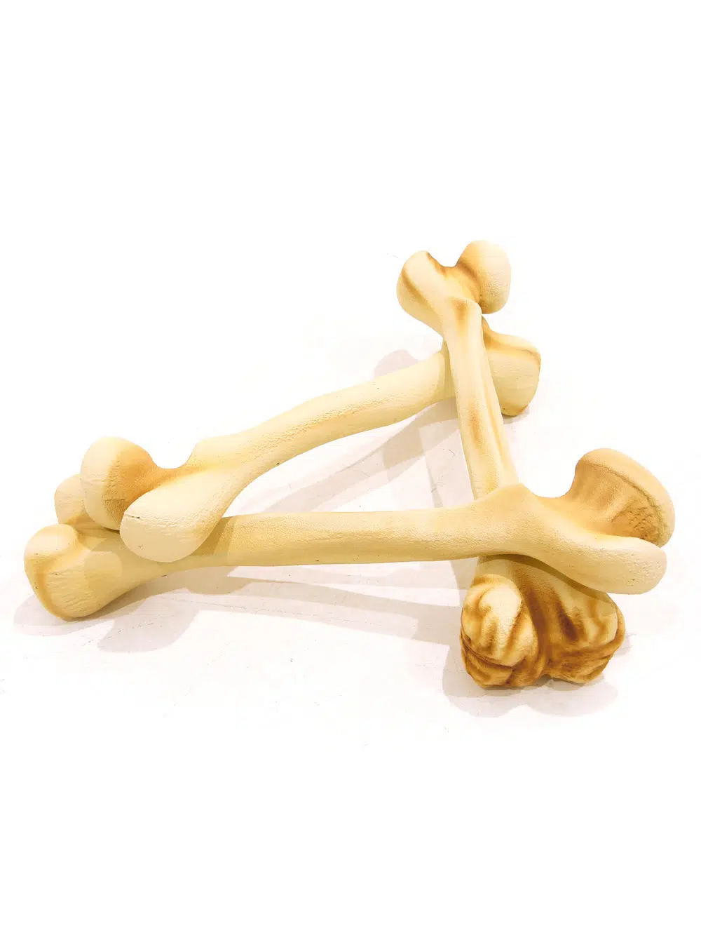 SN5630 Large Dinosaur Bones _event_prop_hire_104