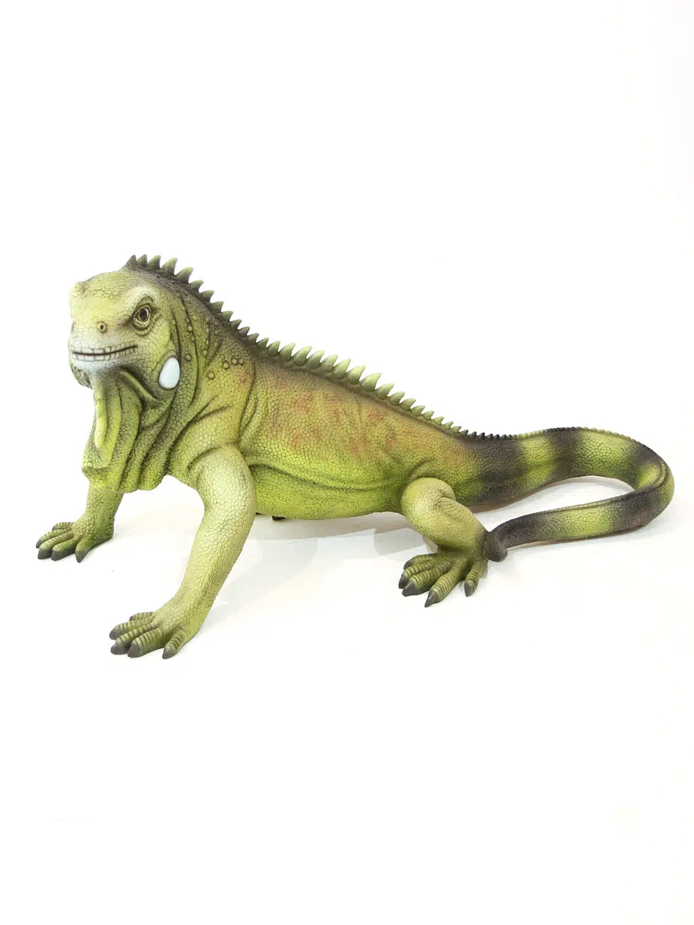 SN5643 Giant Iguana _event_prop_hire_072