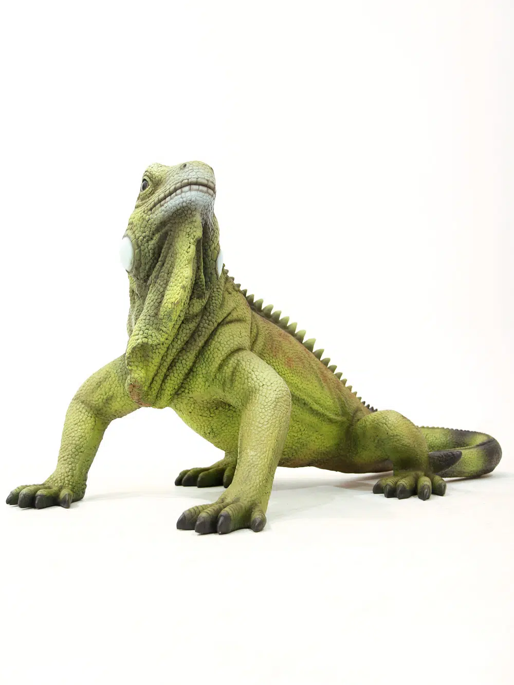 SN5643 Giant Iguana _event_prop_hire_075