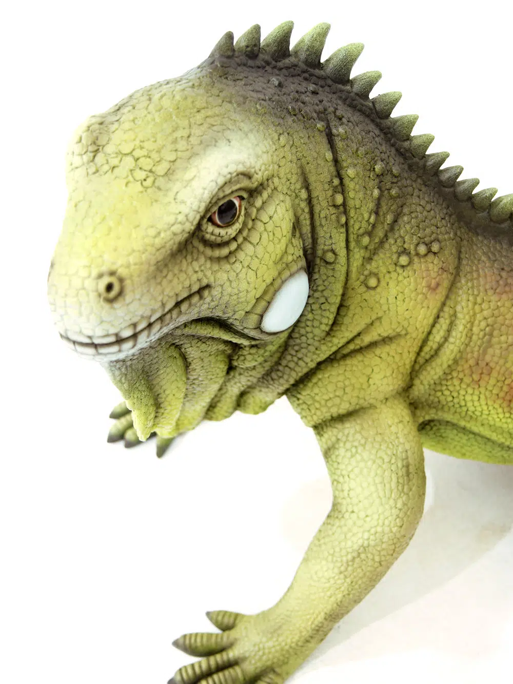 SN5643 Giant Iguana _event_prop_hire_076