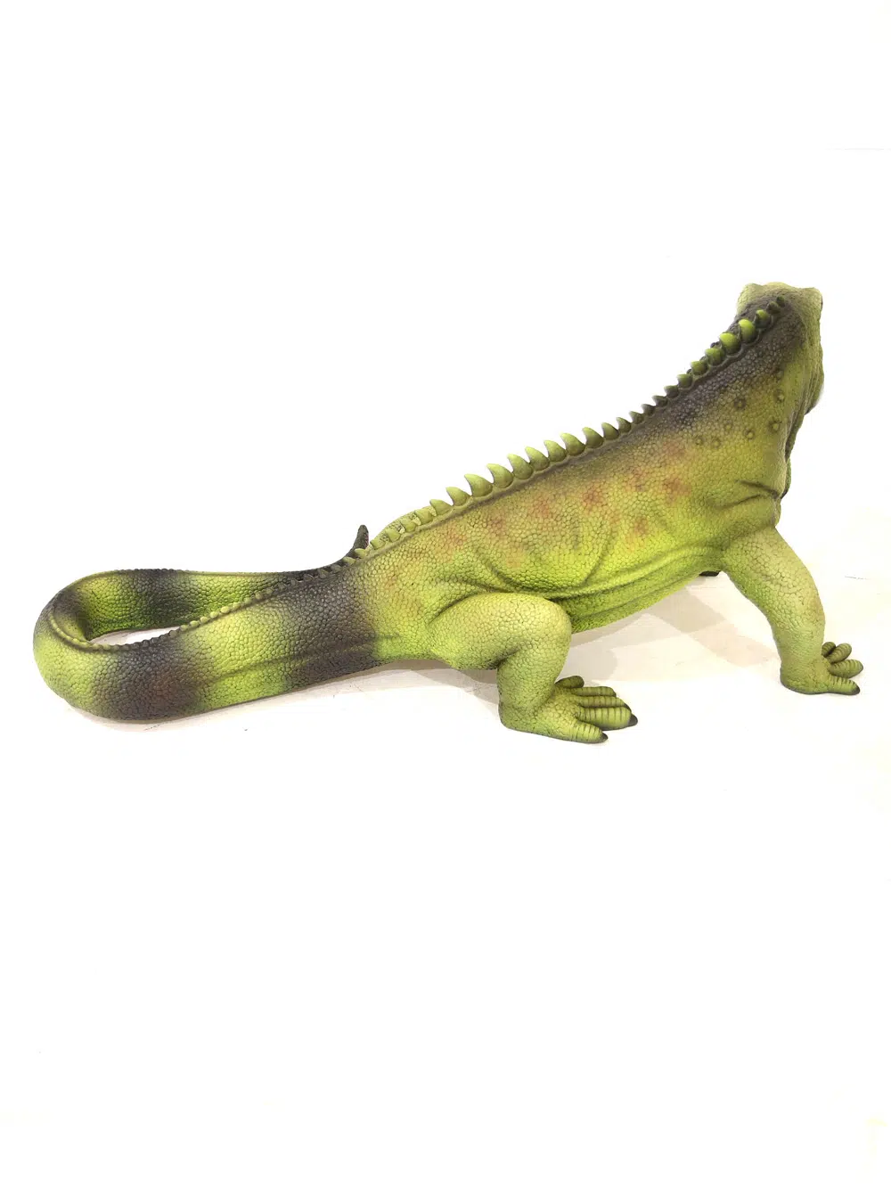 SN5643 Giant Iguana _event_prop_hire_077