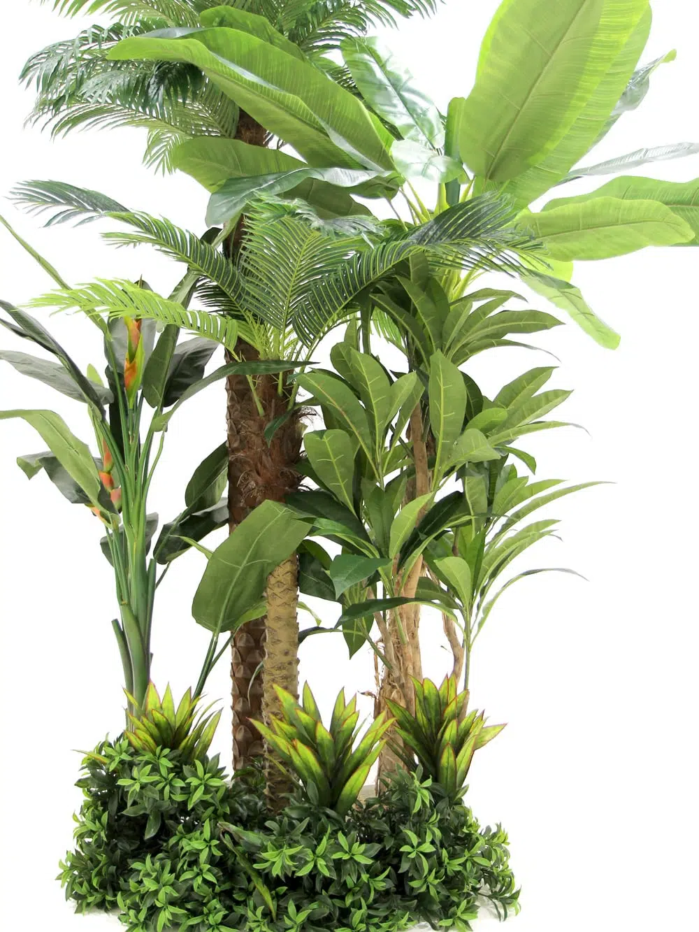 SN5846 Tropical Foliage Montage #1 _event_prop_hire_133
